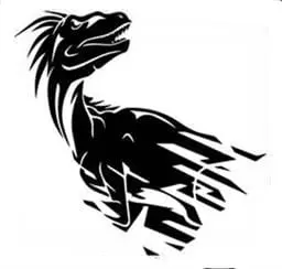 Logo Rapid Raptors Langemark HSE B